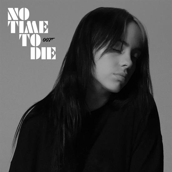 《No Time To Die》